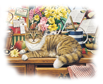 Gatto 13